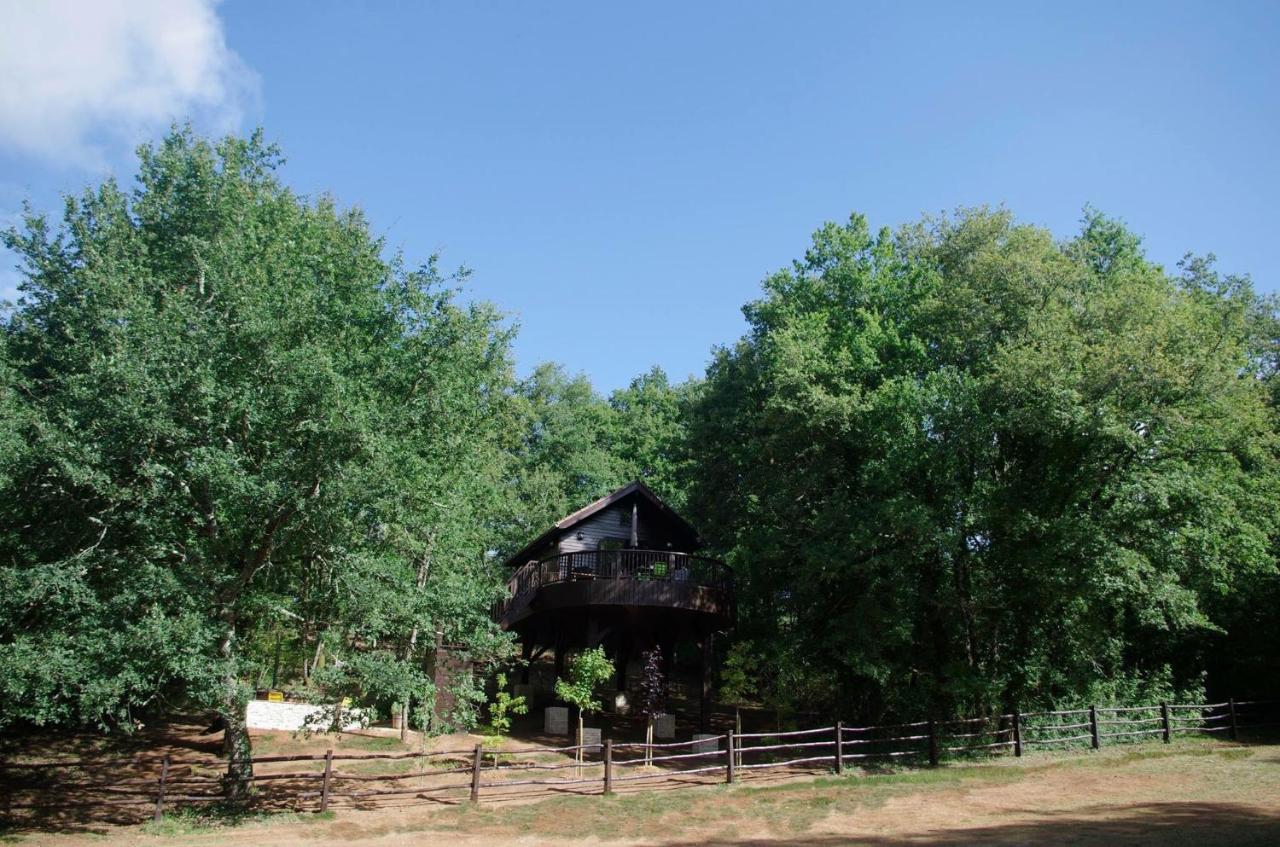 Cabane De La Mesange Auriac-du-Périgord Exteriör bild