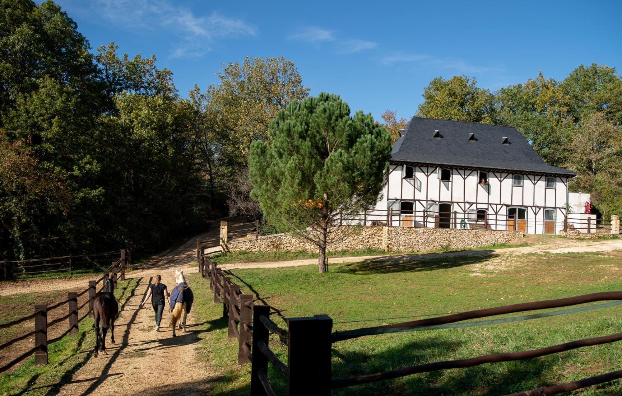 Cabane De La Mesange Auriac-du-Périgord Exteriör bild
